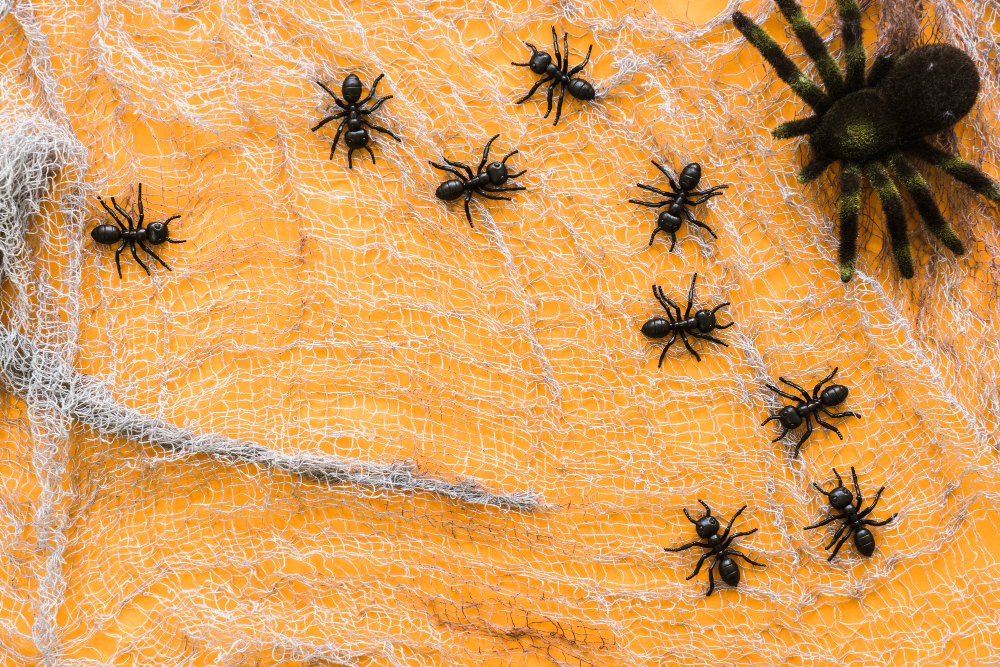 Spider Control Service